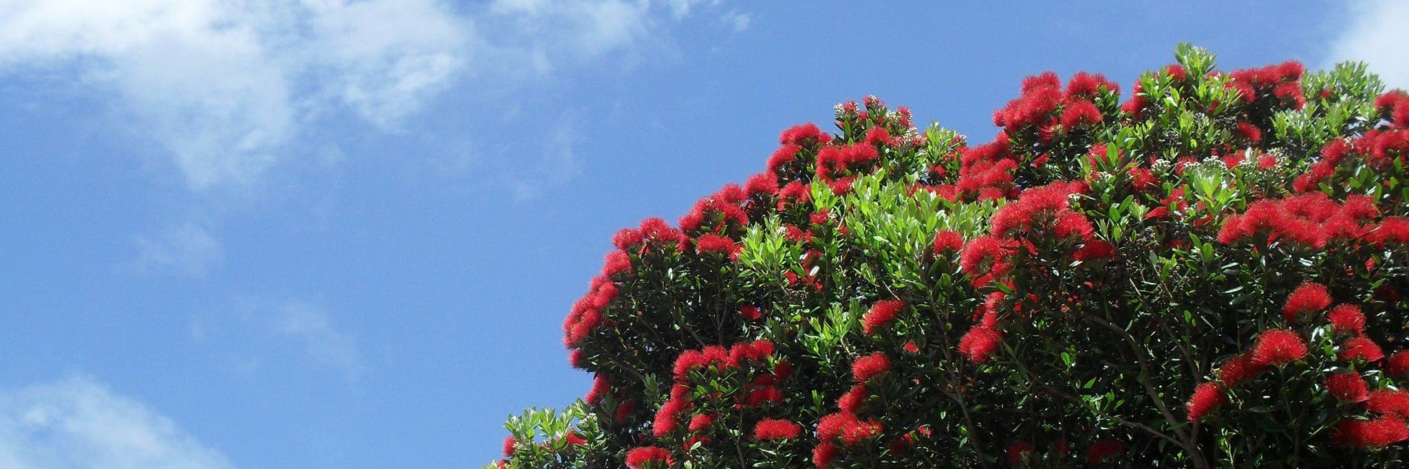 mxwllco's profile banner image