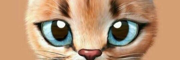 shirocut3 Profile Banner