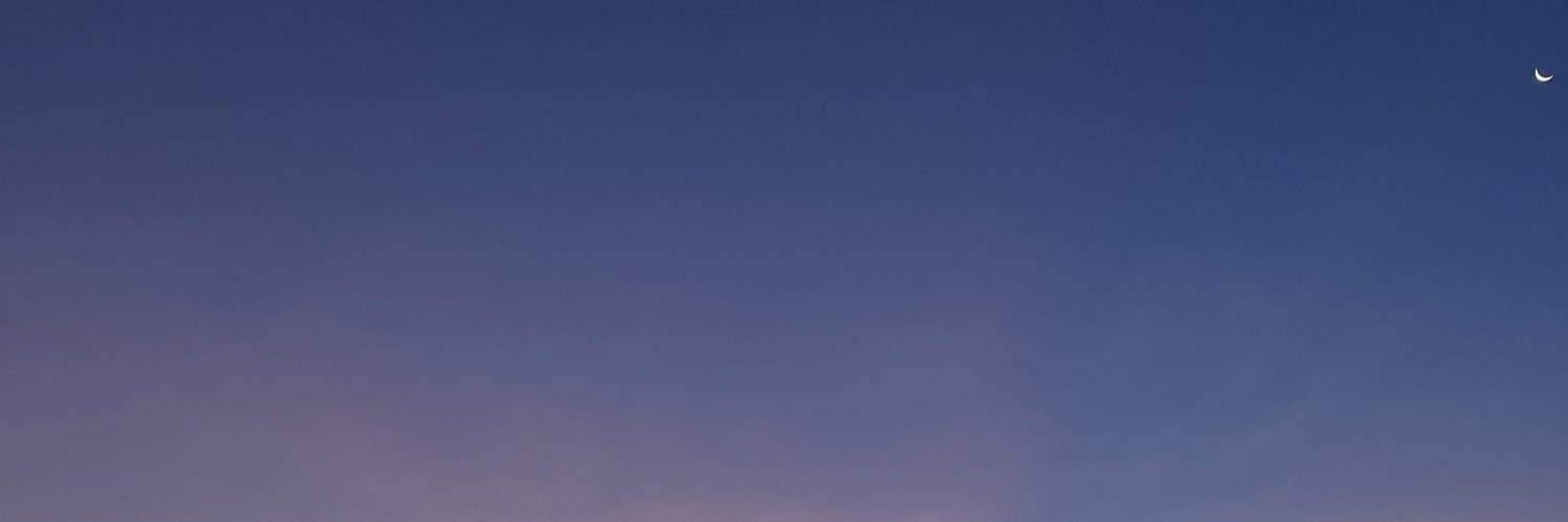 raachmania's profile banner image