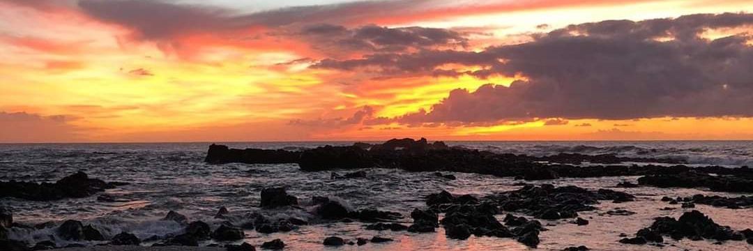 Julen Torrens banner