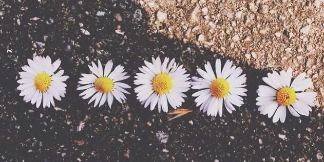 halfmoonsharman's profile banner image
