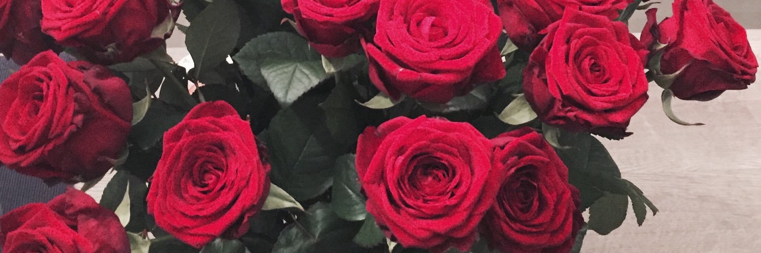 Laurabaudens's profile banner image