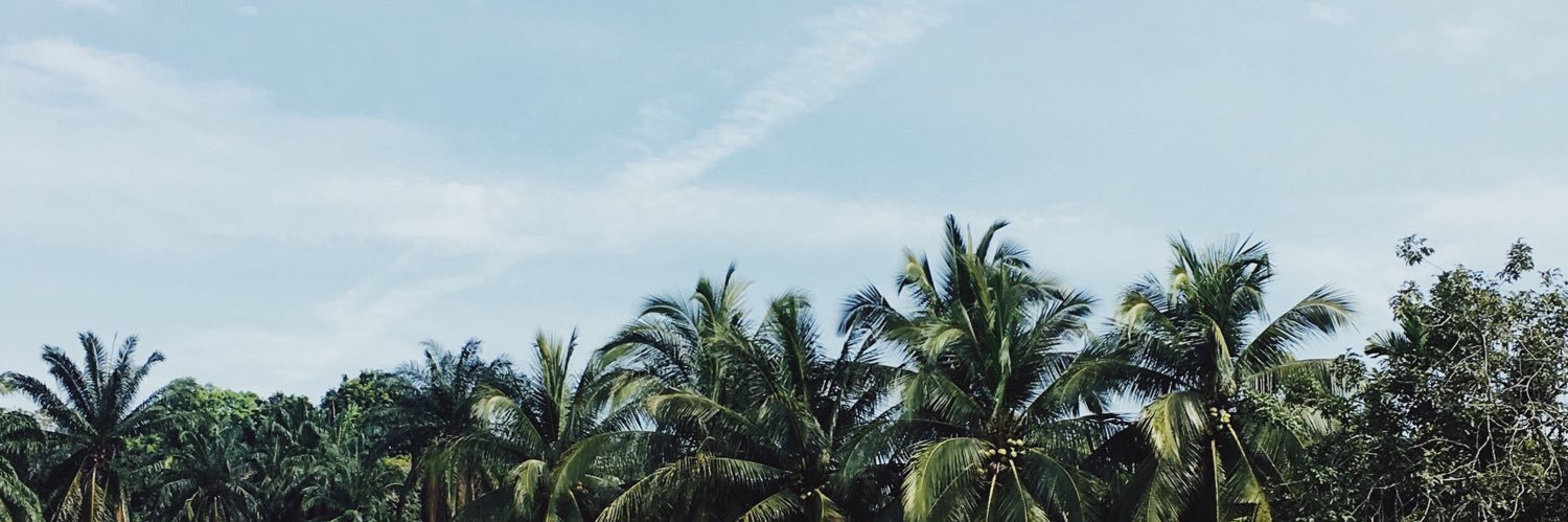 mariamtash's profile banner image