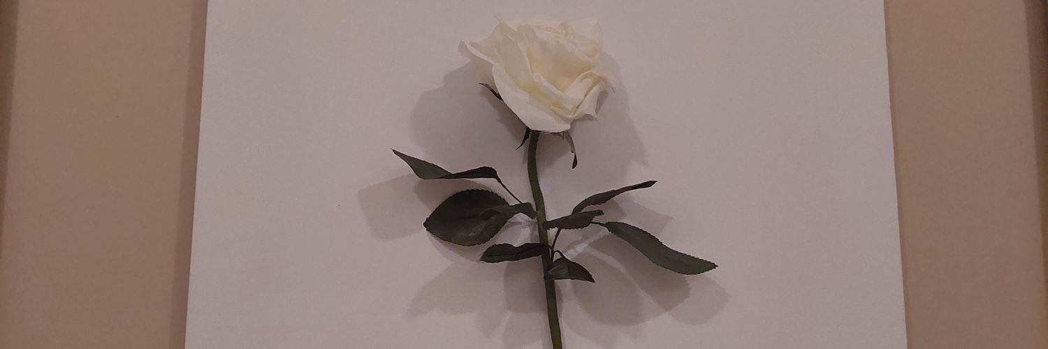 byutiandfool's profile banner image