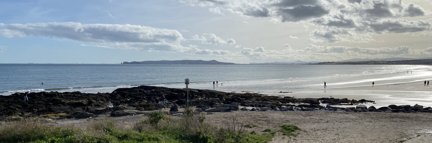 Michelle NíR banner