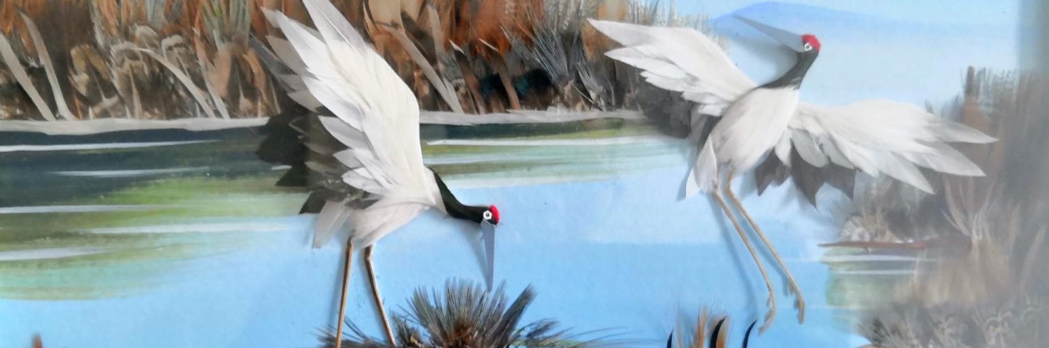 Jan Robert R Go 吳安平 banner