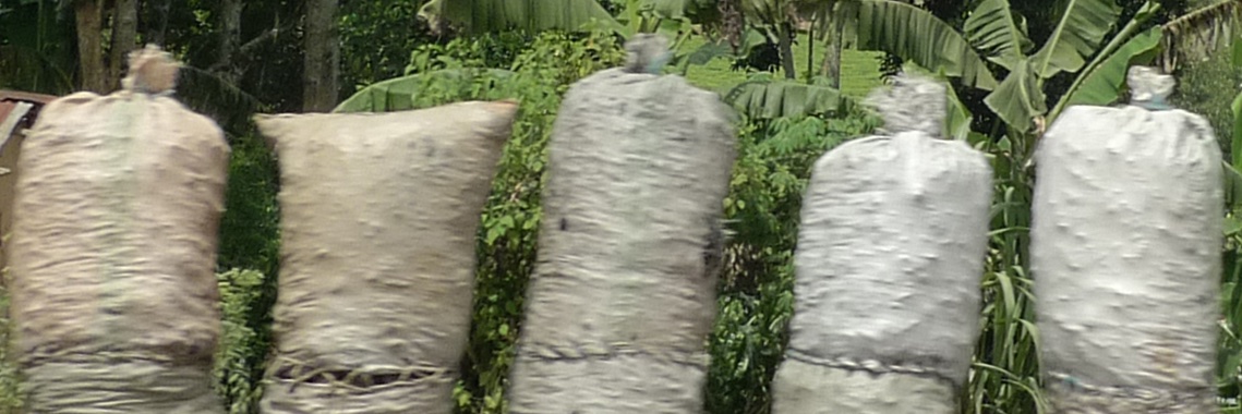 damali_ibreck's profile banner image