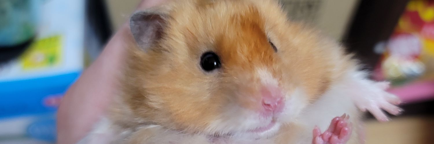 DaizuJam's profile banner image