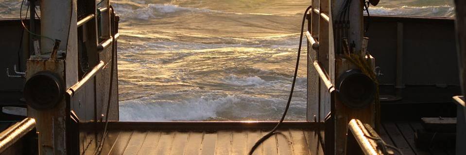 David_Baisch's profile banner image