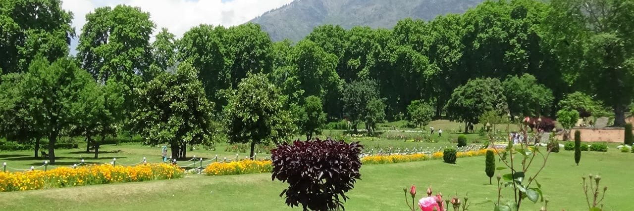 partha220975's profile banner image