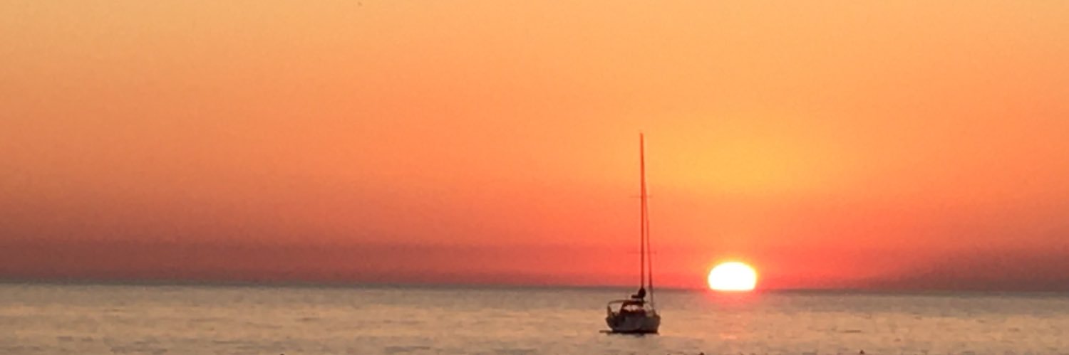 andrea linarello banner