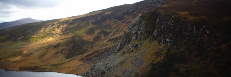 leleach87's profile banner image