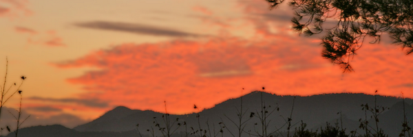 TimeToTest Profile Banner