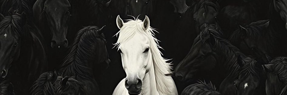 Ahmadgarkoo's profile banner image