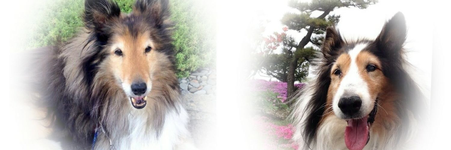 31074355aa's profile banner image