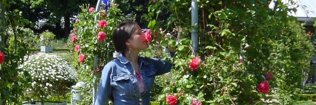 VickyEsperanto's profile banner image