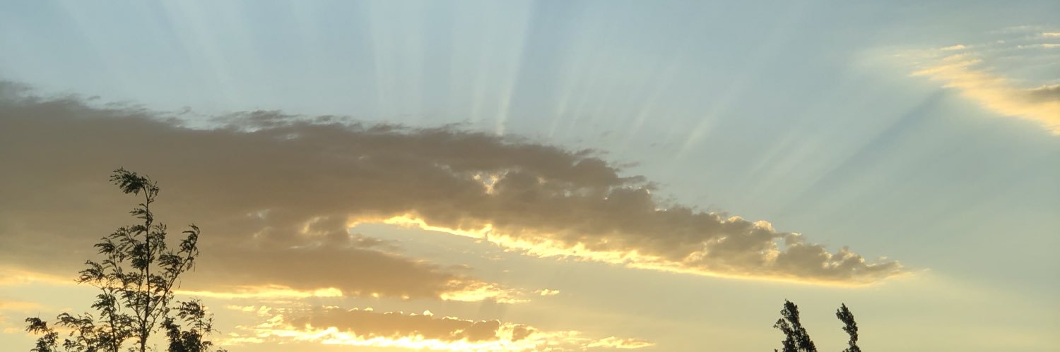 MichelleLSingle's profile banner image