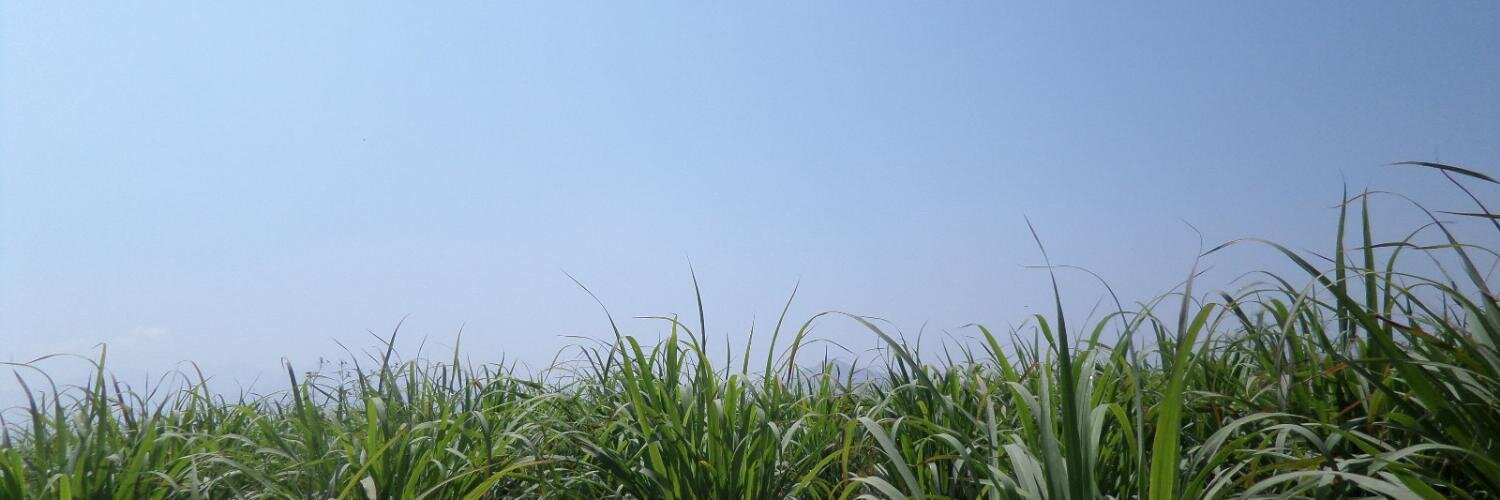 Reynaldohp's profile banner image