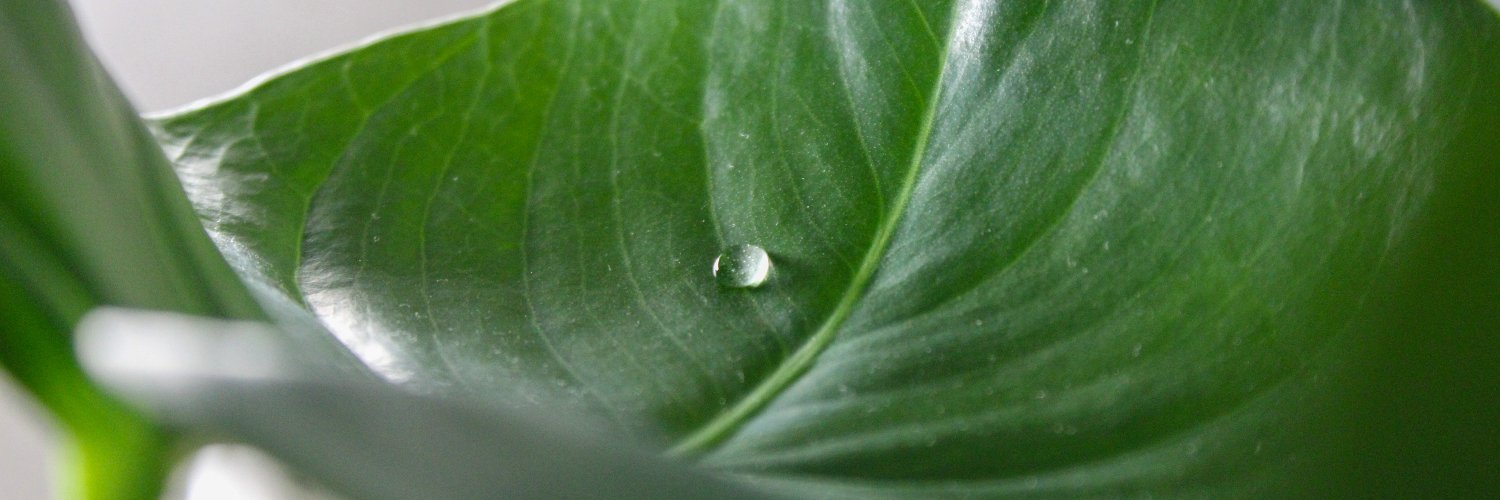 Raavn (Official) banner