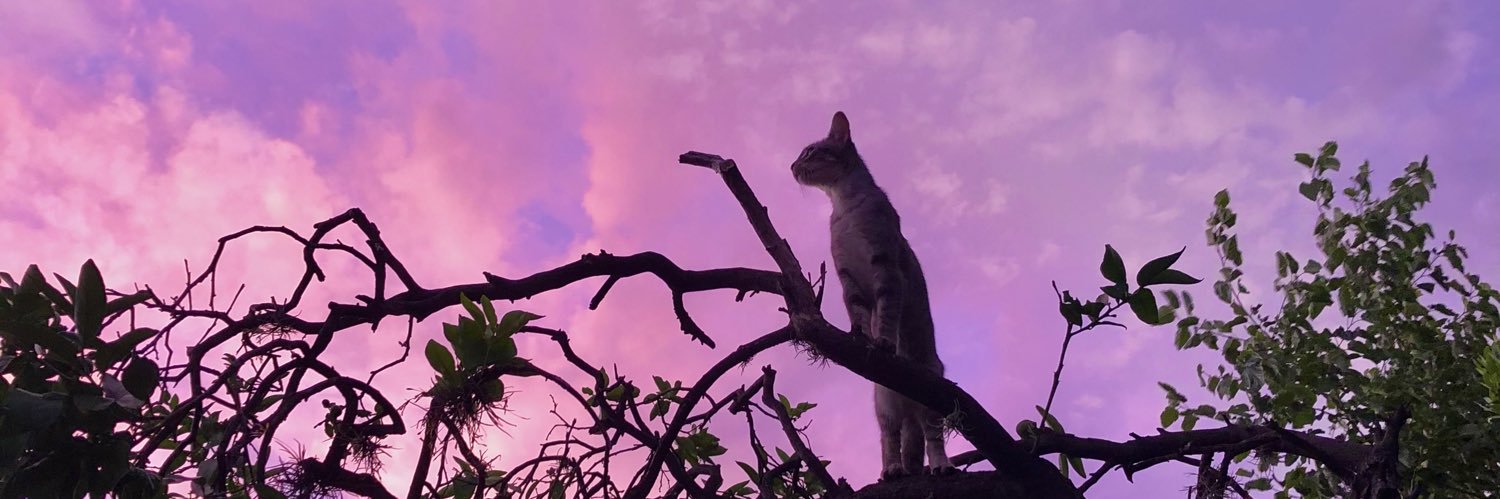 valumotto's profile banner image