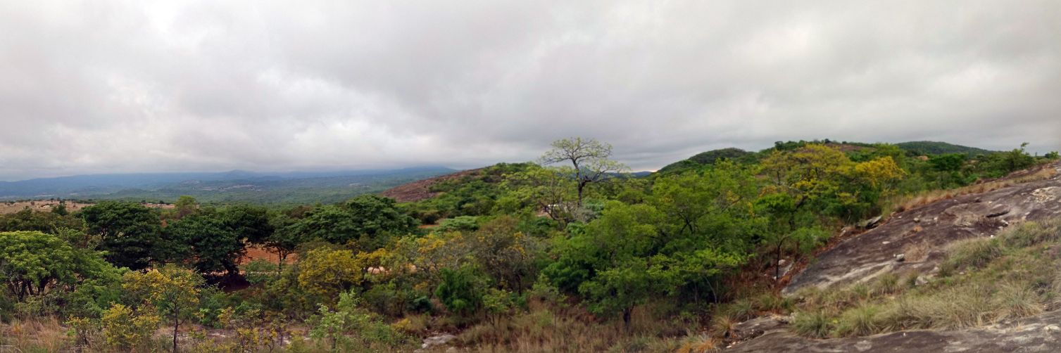 Maroweso's profile banner image