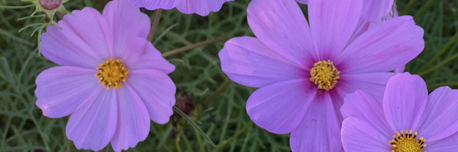 JJbemyself's profile banner image