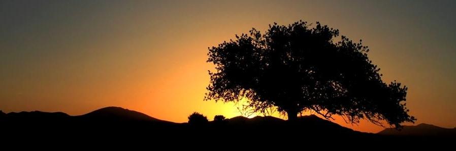 erkanoktn's profile banner image