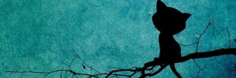 nengTincee's profile banner image