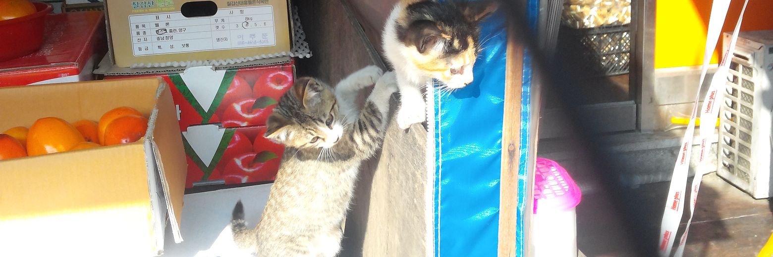 유혜미(쵸코우유) banner