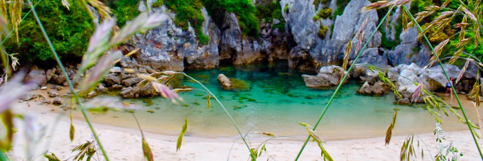 Courtney_Chill's profile banner image