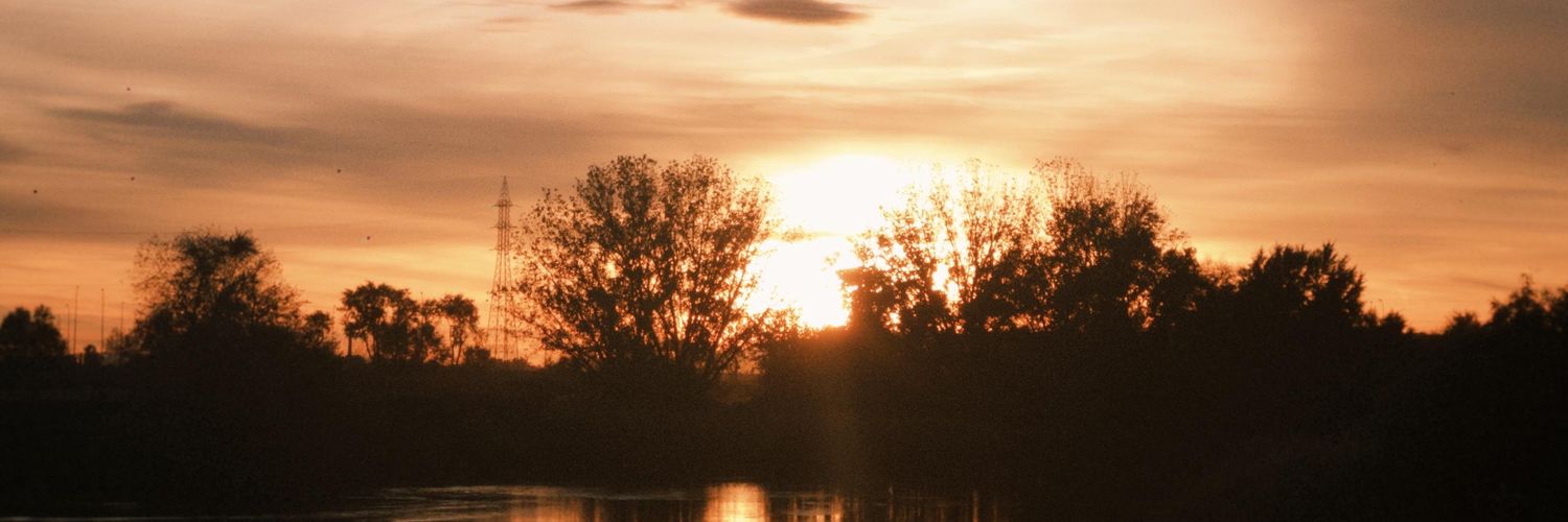 WallingWaves's profile banner image