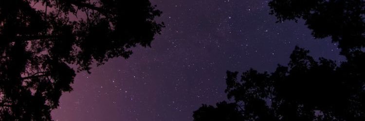 lucyallisonn's profile banner image