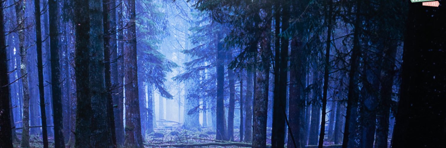 levip_q's profile banner image