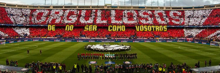 FranMontero3's profile banner image
