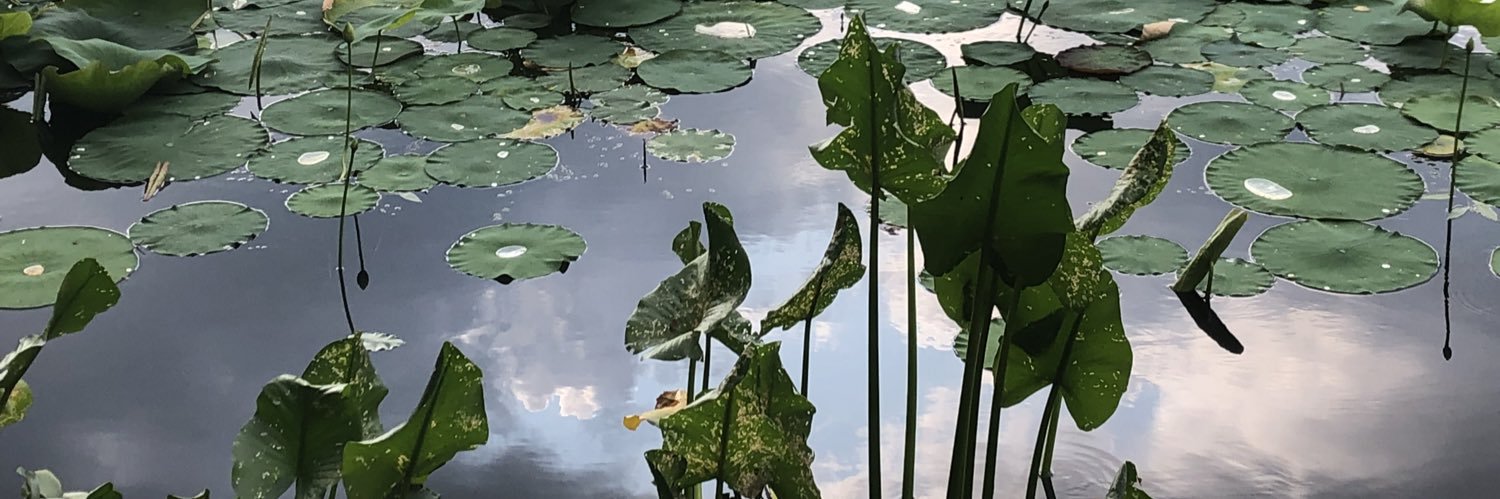 EvanRoyRees's profile banner image