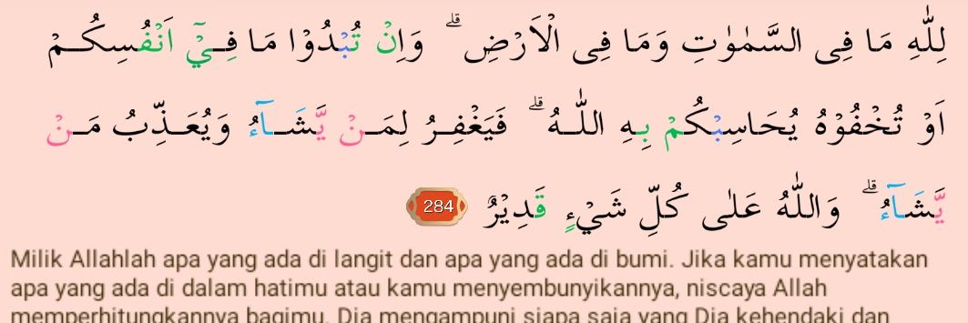 Indonesia Jaya banner