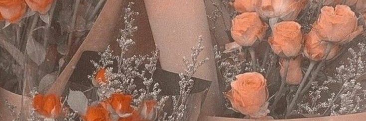 𝑳𝒆𝒂𝒉 𝑮𝒐𝒏𝒛𝒂𝒍𝒆𝒔 ❄️🐻🐼 banner