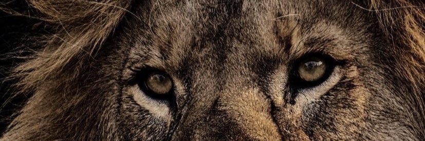 trisbb's profile banner image