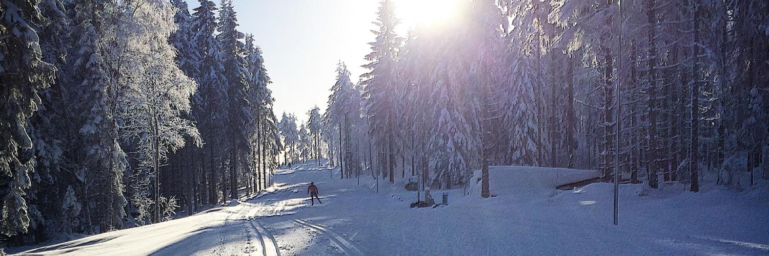 helenesoderlund's profile banner image