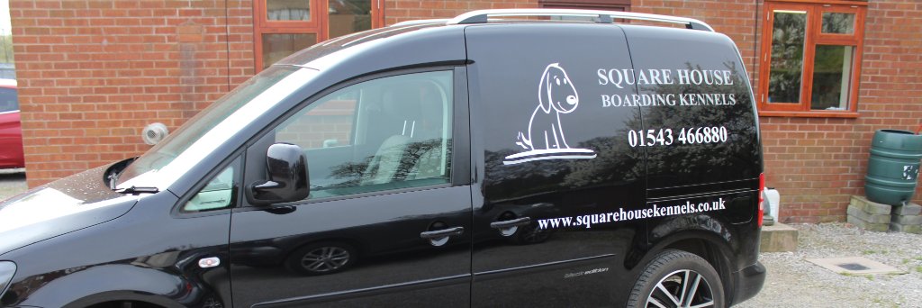 Square House Kennels banner