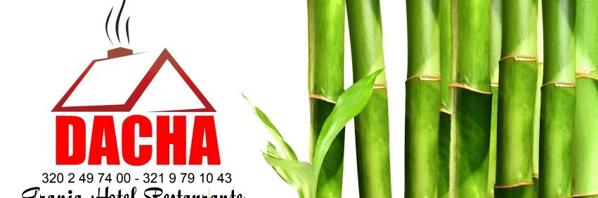 ChesterArosa's profile banner image