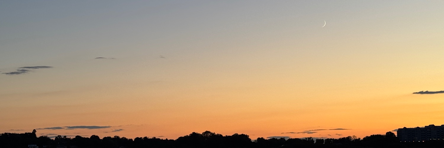 𝔹ℤ banner