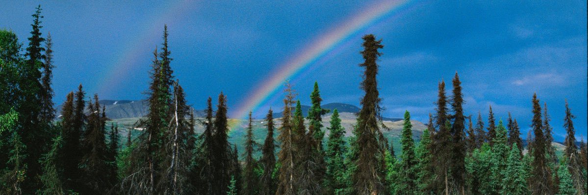 nomad_nitai's profile banner image