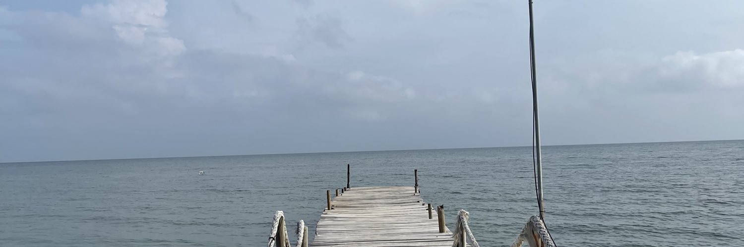 VaneFadul1's profile banner image