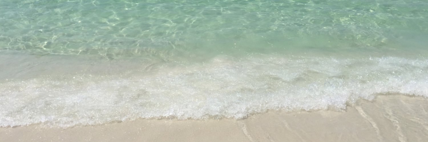 Zara Walker banner
