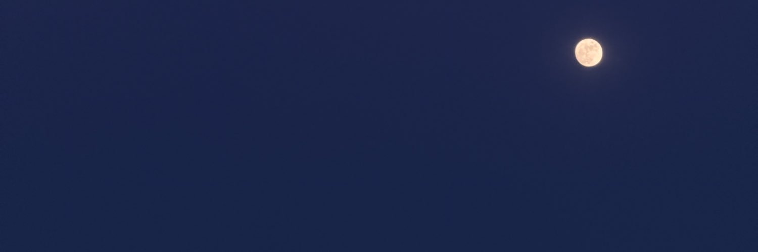 hecasteria's profile banner image