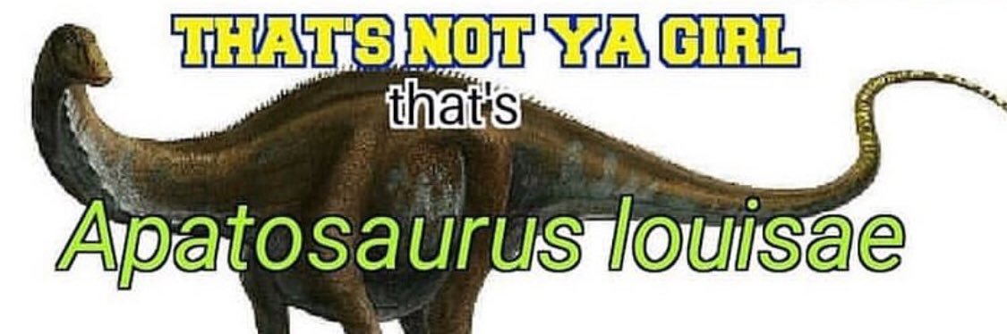 draculor's profile banner image