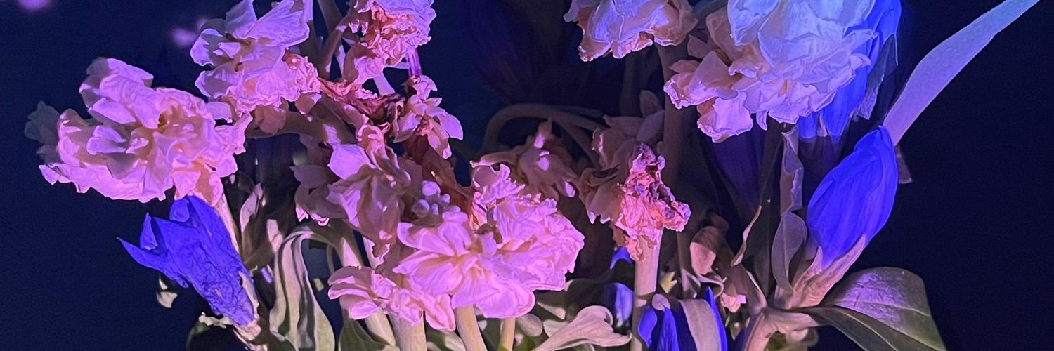 NOTSKY07_'s profile banner image