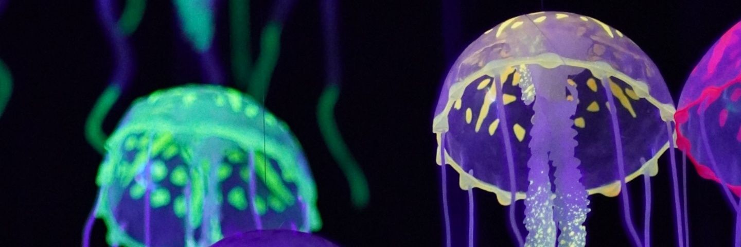 Ashley Stokes banner