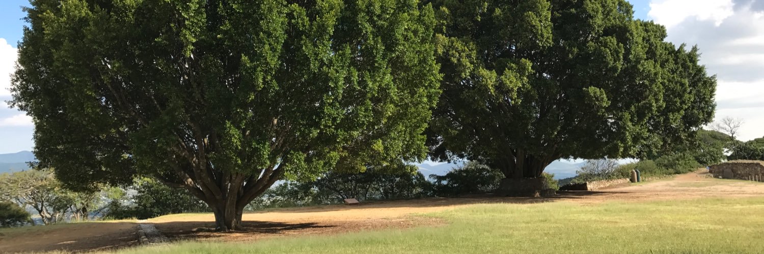 hyperrealmx's profile banner image